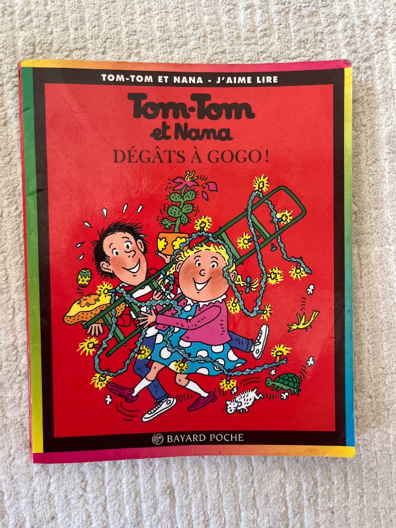 Tom-Tom et Nana - Tome 23 : Dégâts à Gogo !
