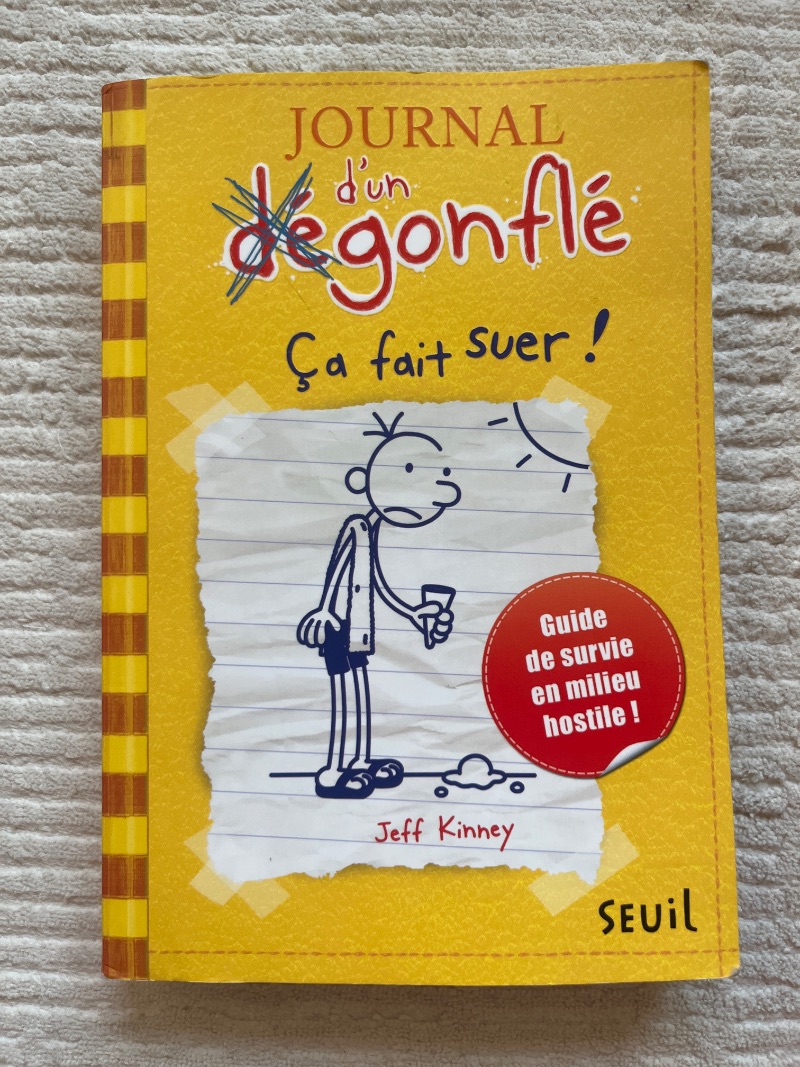 Journal d'un dégonflé - Tome 4 : Ça fait suer !